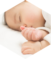 無垢・自然素材